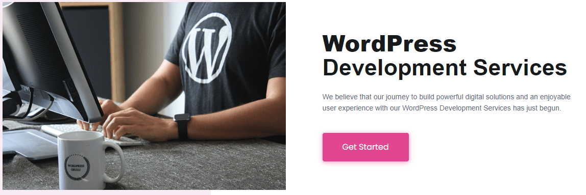  WordPress plugin development services