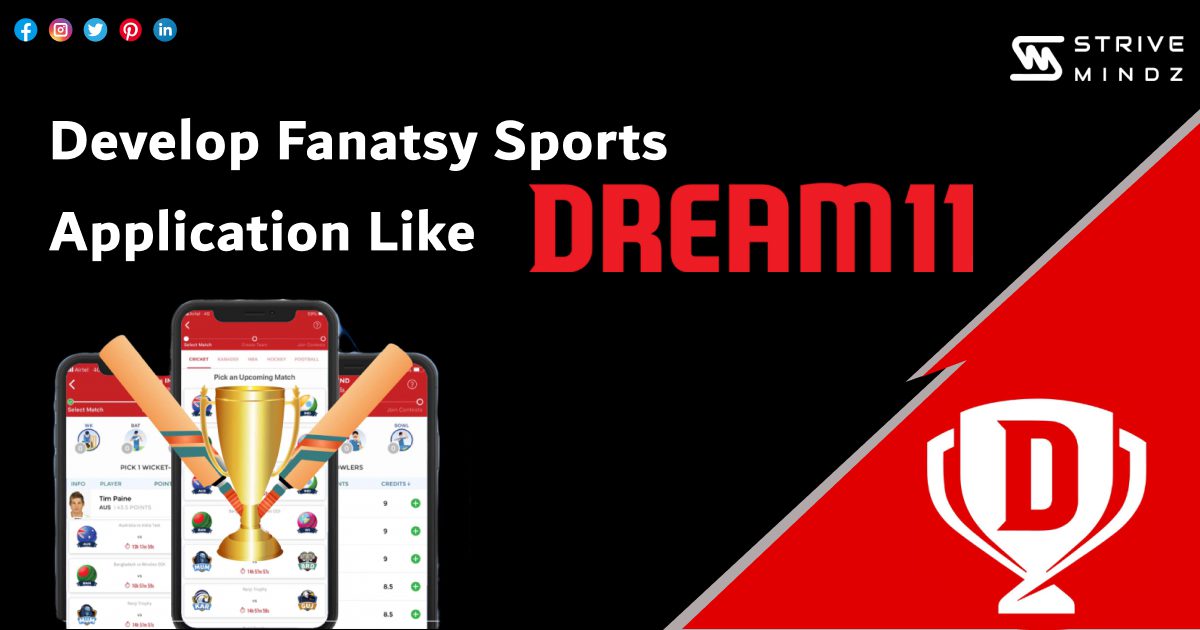 Develop Fanatsy Sports Application Like Dream 11